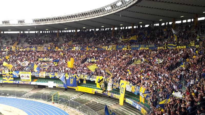 Feyenoord, Slovan Bratislava si Verona @7,85 cota