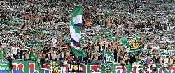 Rapid Viena, Fenerbahce si Ajax (@8,82 cota)